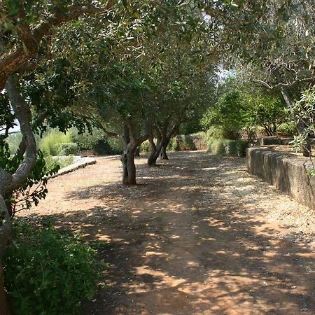 Appartamento In Villa Fortunata Terra Marina Serra Εξωτερικό φωτογραφία