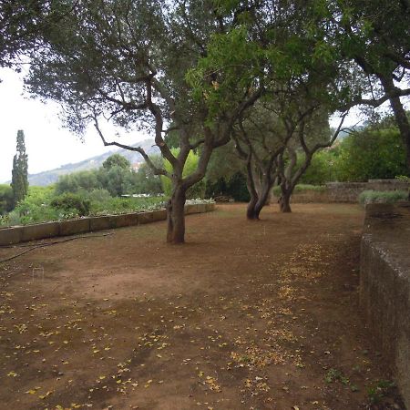 Appartamento In Villa Fortunata Terra Marina Serra Εξωτερικό φωτογραφία