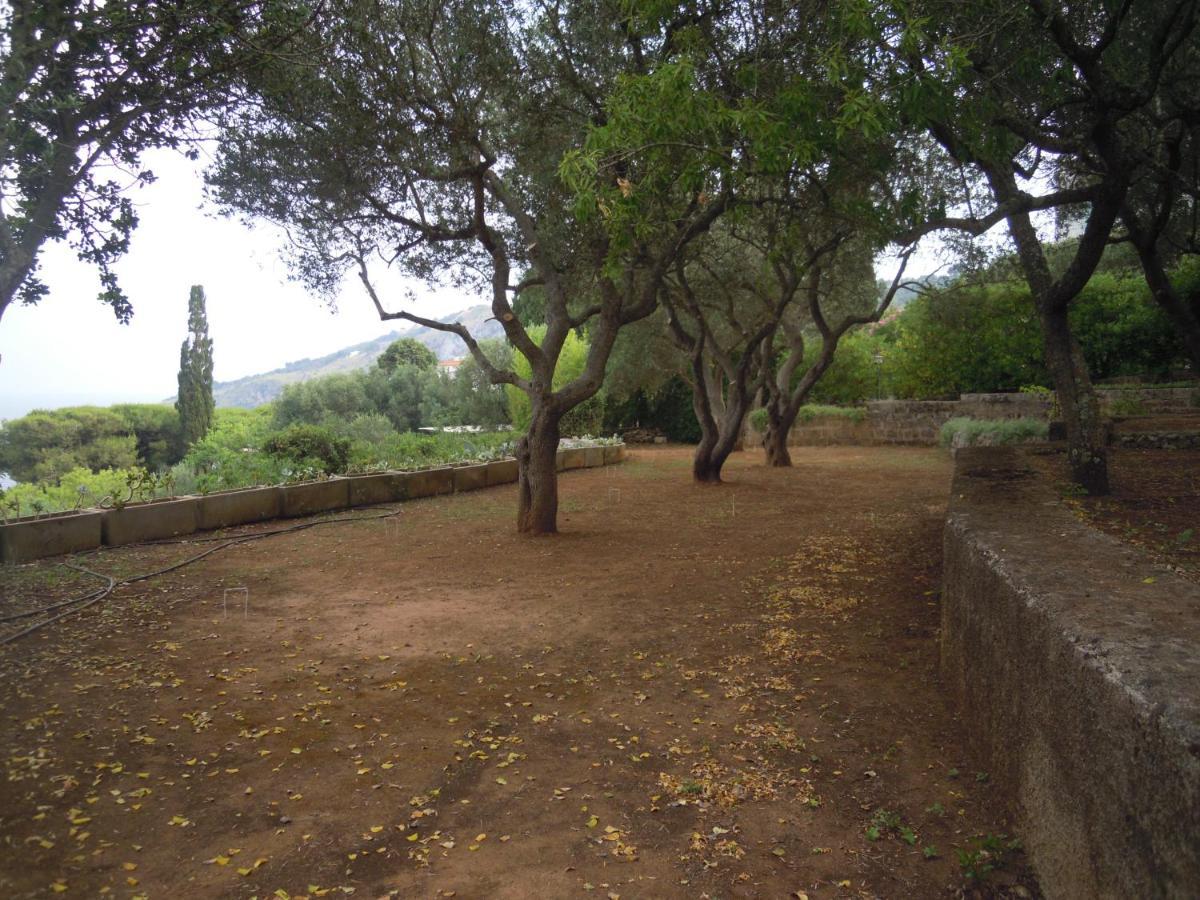 Appartamento In Villa Fortunata Terra Marina Serra Εξωτερικό φωτογραφία